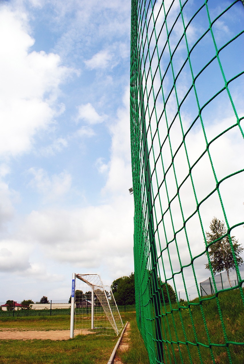 根冷静过掉 根冷静过掉