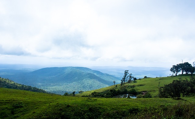 从数据角度 从数据角度