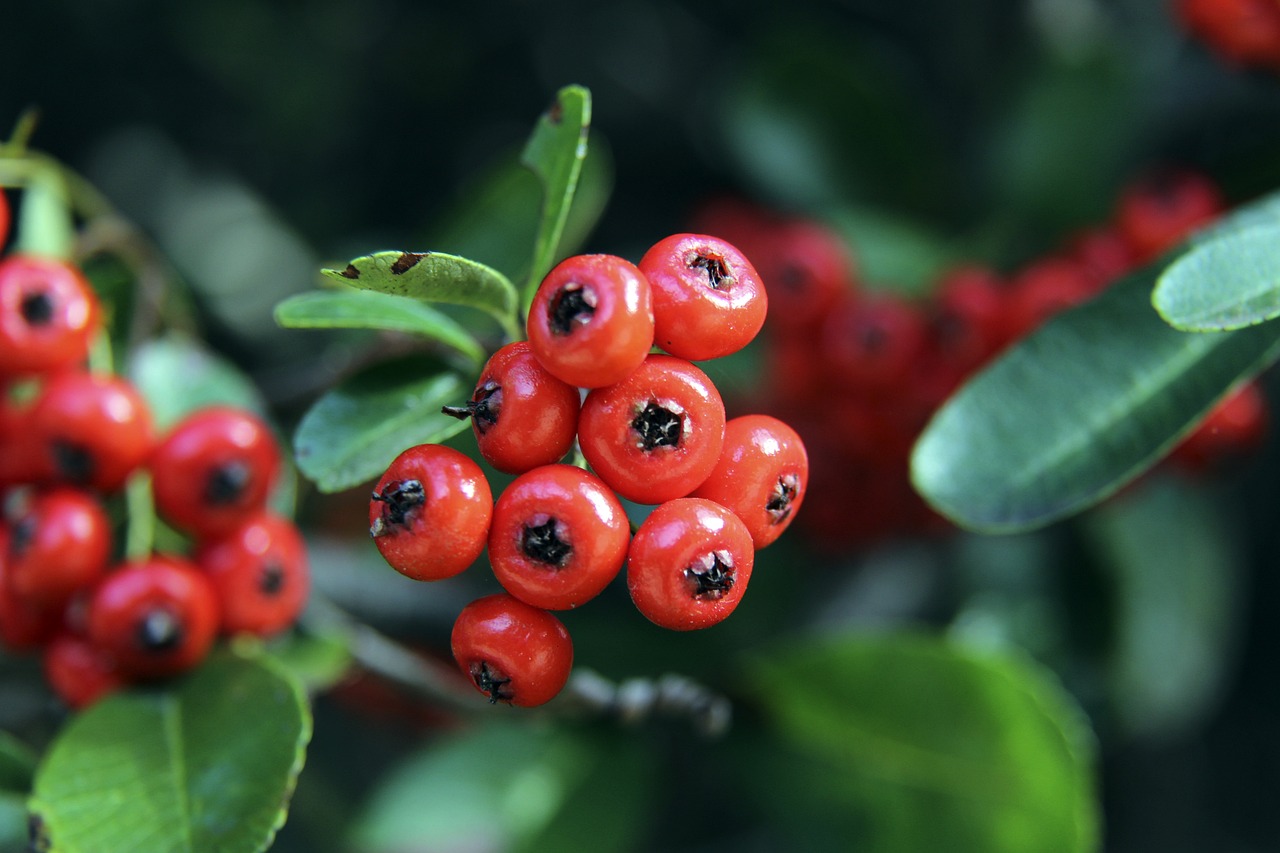 期待更多精 期待更多精