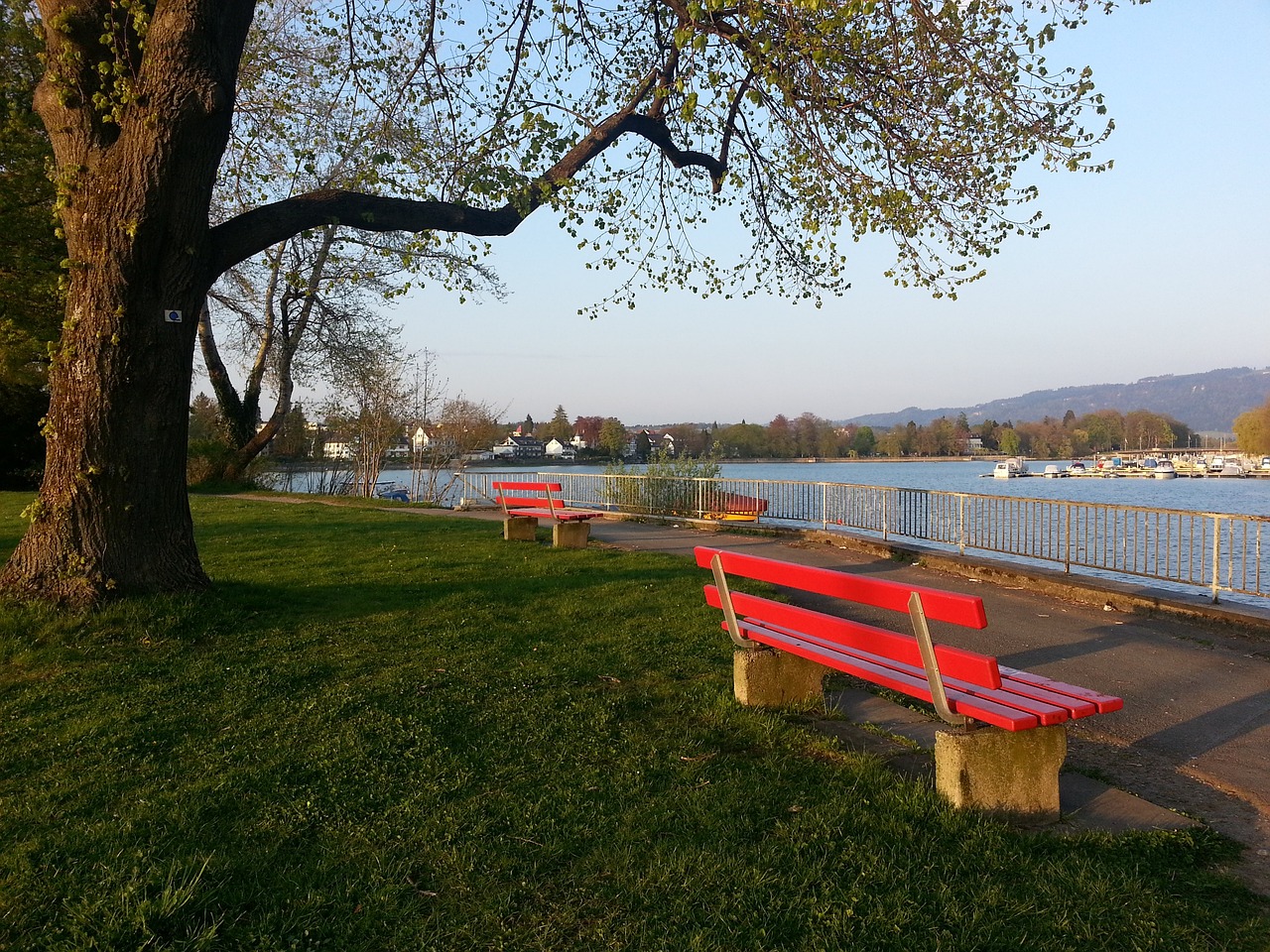 闻名于世 闻名于世