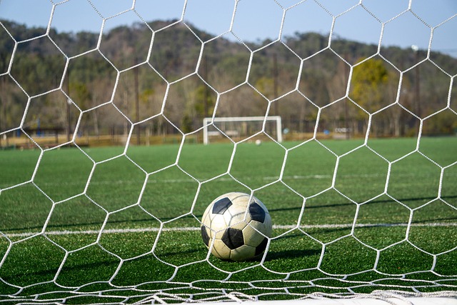 下面讓我們 下面讓我們