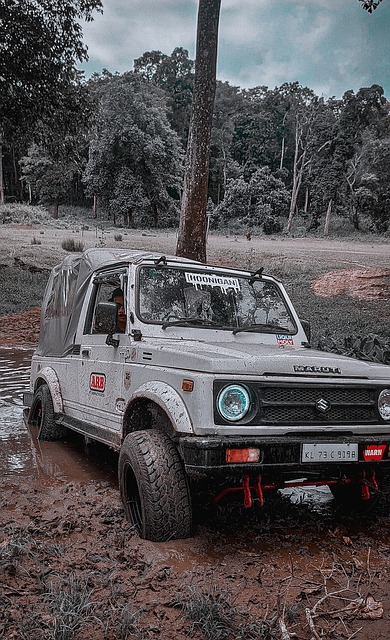 太阳队在进 太阳队在进