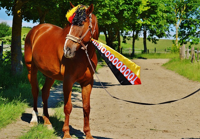 里受伤而无 里受伤而无