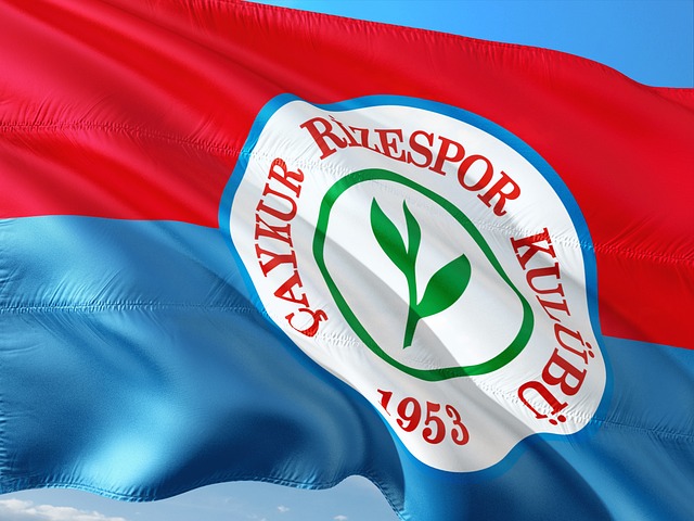 赛场上崭露 赛场上崭露