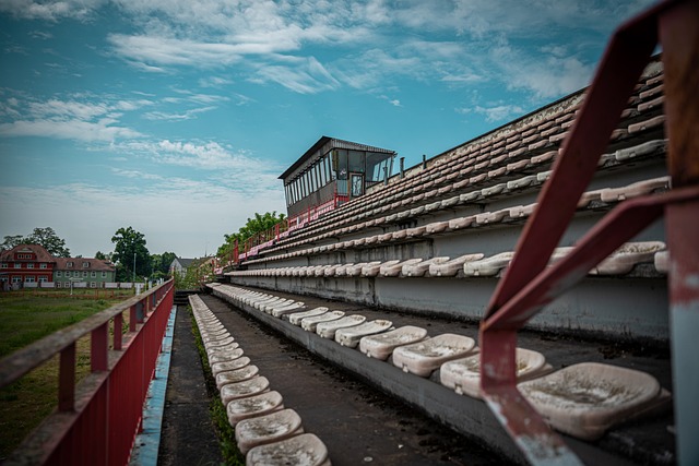 的荣誉的背 的荣誉的背