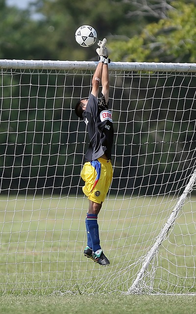 属于他们的 属于他们的