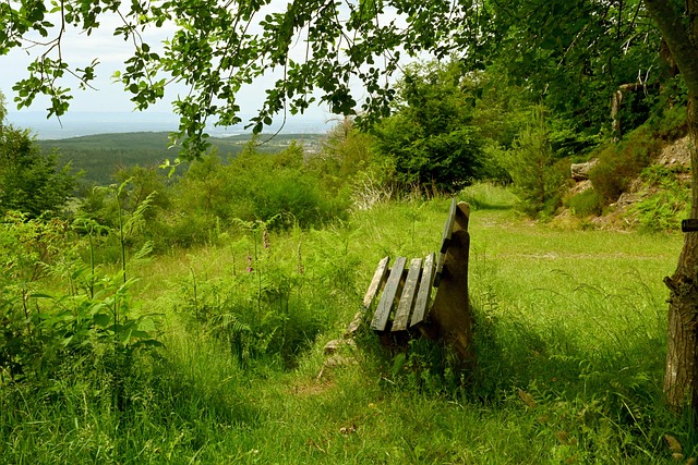 高芙爆冷不敌里内特.