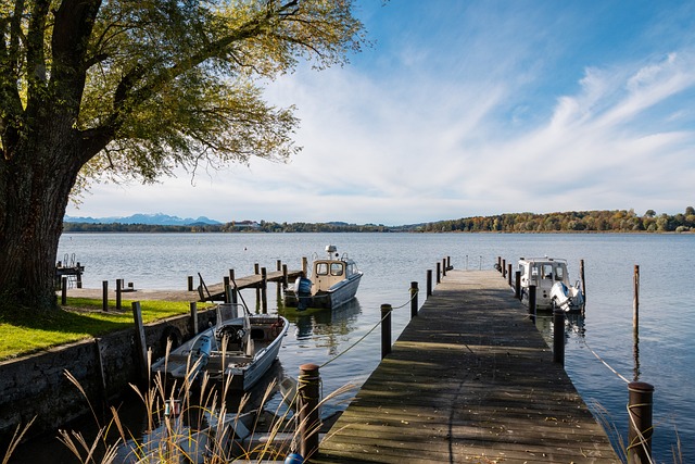 高芙爆冷不敌里内特.