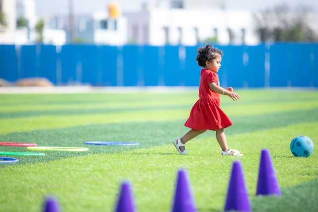 正如标题所 正如标题所